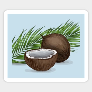 Hand Drawn Coconut Illustration Magnet